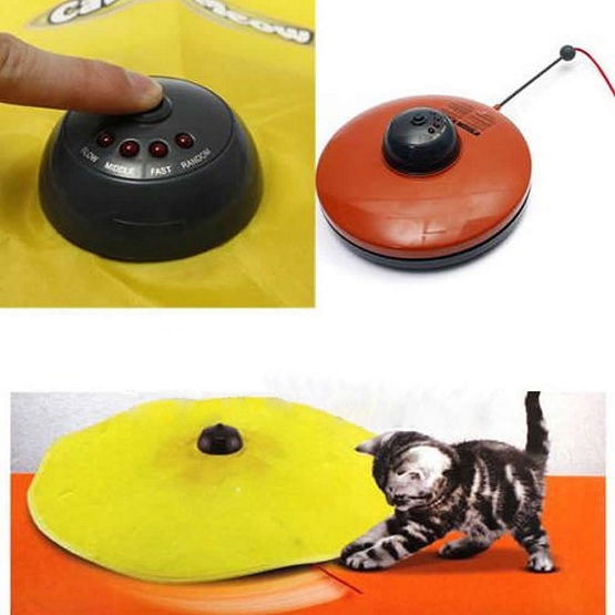 Niche Scraper Cat's Meow Toy