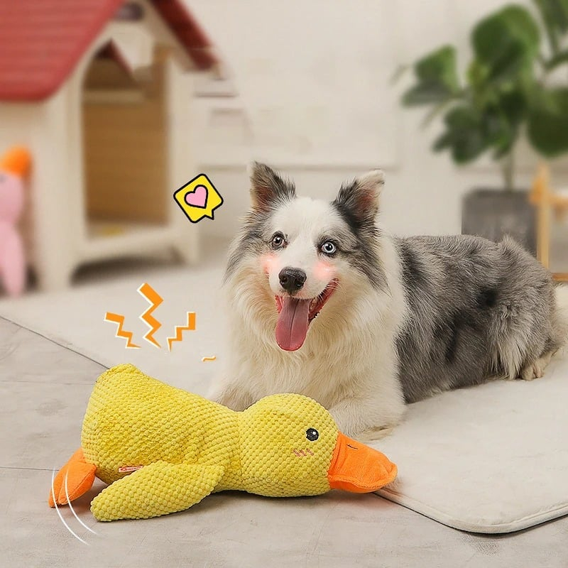 Niche Scraper Quackquack Duck Dog Toy