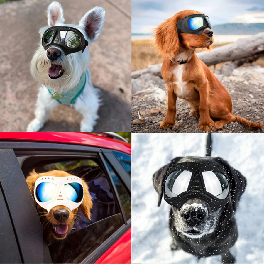 Niche Scraper Dog Goggles Large & Small Breed